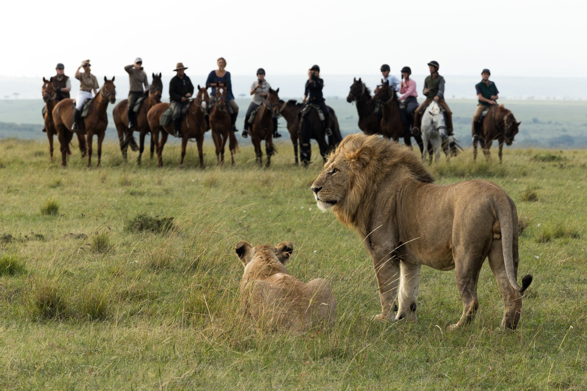 Offbeat Riding Safaris, Kenya