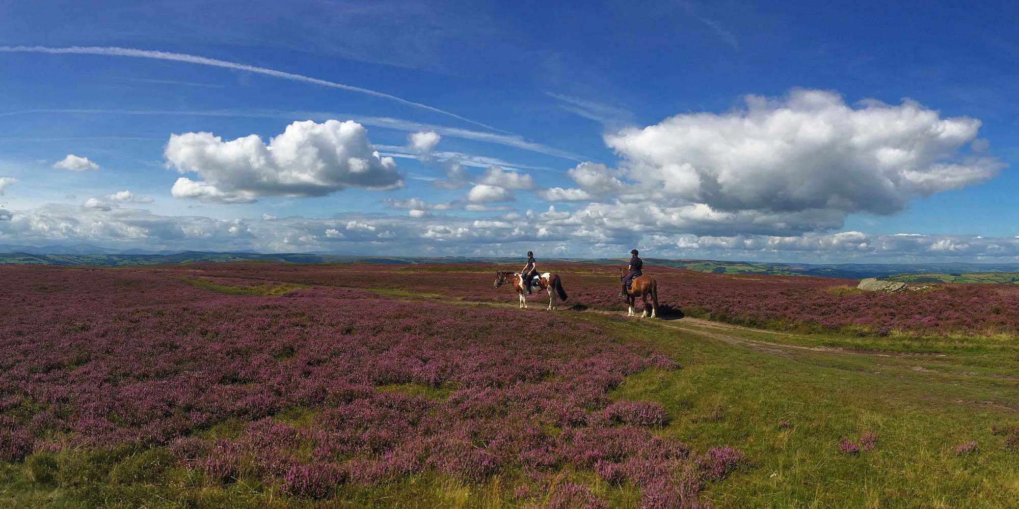 FreeRein Riding Holidays