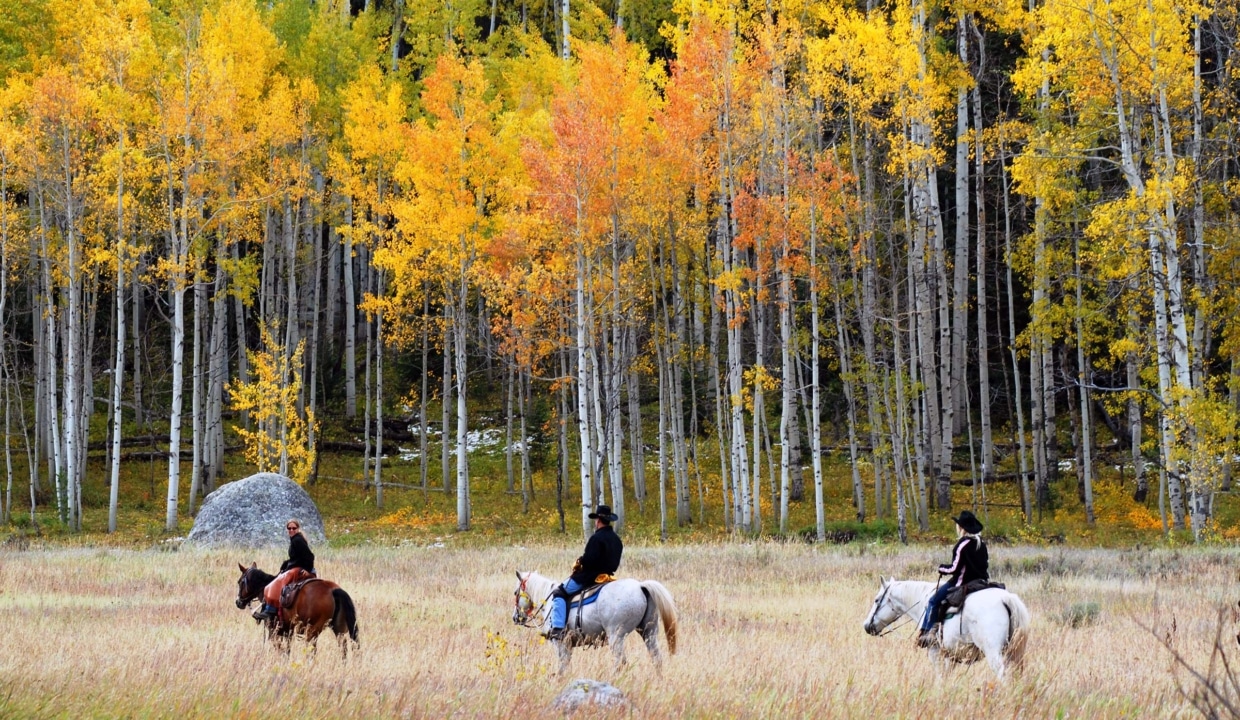 Vista Verde Ranch