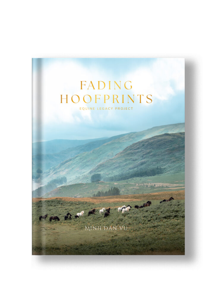 Cover of the coffee table book Fading Hoofprints by the Equine Legacy Project, showing a herd of horses grazing in a green valley