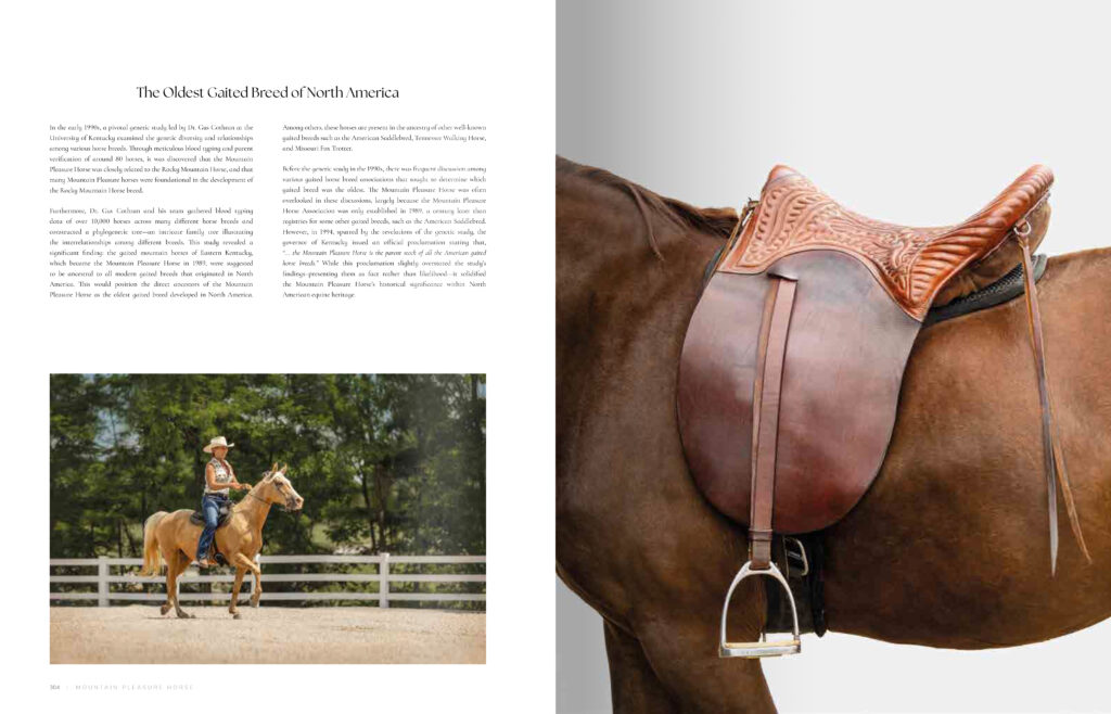 Book spread on the Mountain Pleasure Horse, showing a rider on a palomino horse in an arena beside a close-up of a saddled horse's back