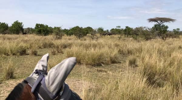 Safaris-Unlimited-horseback-Masai-Mara