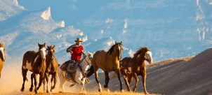 THE HIDEOUT LODGE & GUEST RANCH 