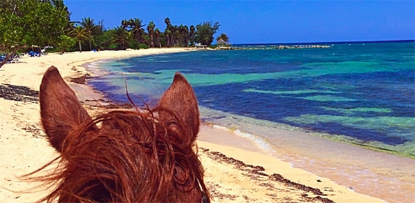 Horseback Riding in the Ocean at Jamaica’s Half Moon Resort
