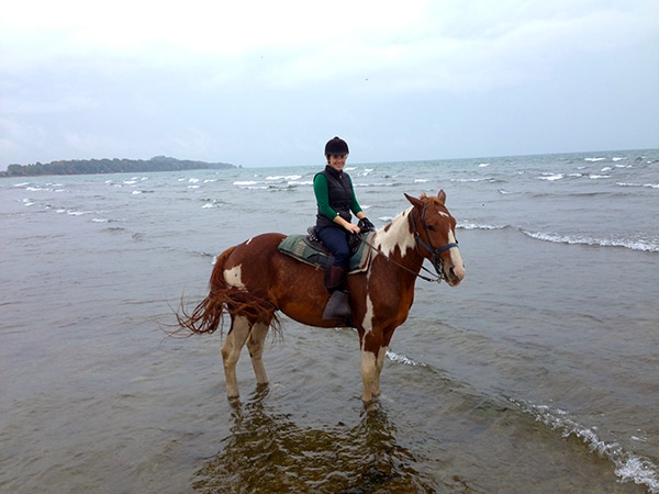 Canadian HorsePlay on the Niagara Peninsula