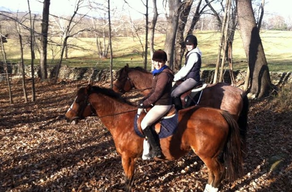 salamander-va-horseback